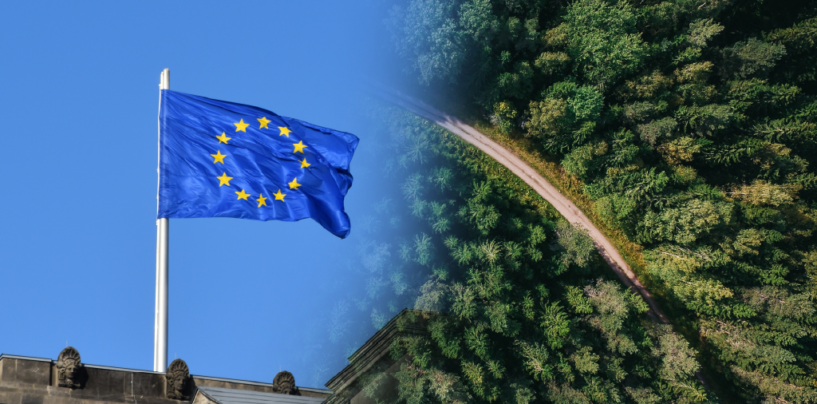 Europe Leads in Climate Fintech Driven by Supportive Policies, Government Initiatives
